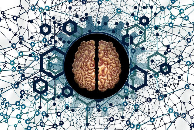 Neurogenética en la educación: Desvelando el potencial individual de los estudiantes