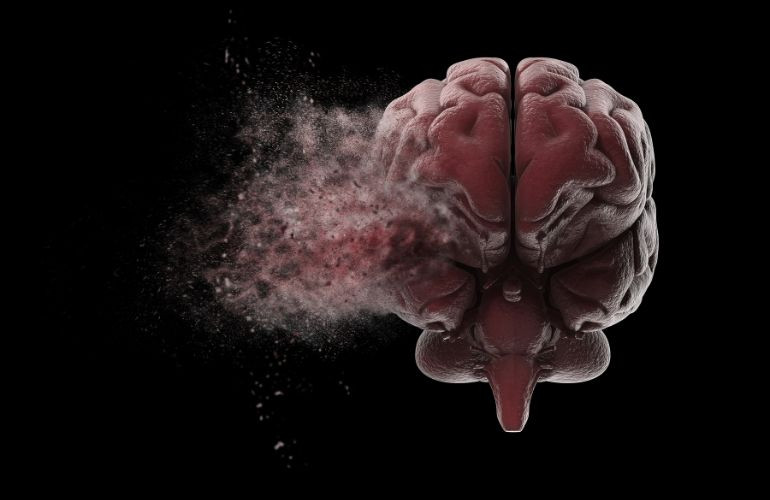 Neurociencia: Descifrando los Secretos del Cerebro Humano